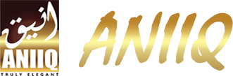 aniiq-logo.png