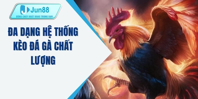 Đa dạng hệ thống kèo đá gà chất lượng